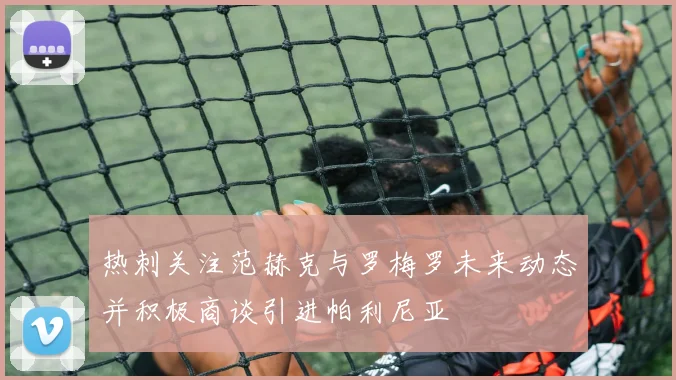 热刺关注范赫克与罗梅罗未来动态并积极商谈引进帕利尼亚
