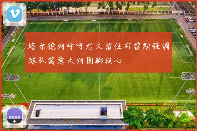 塔尔德利呼吁尤文留住布雷默强调球队需意大利国脚核心